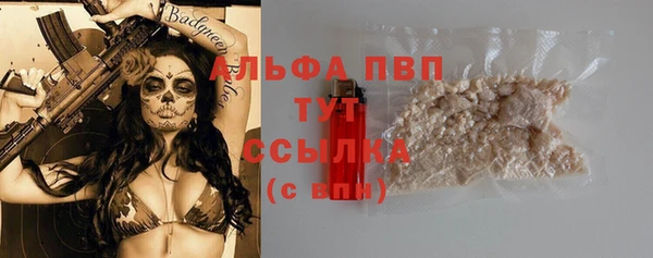 гашиш Богданович