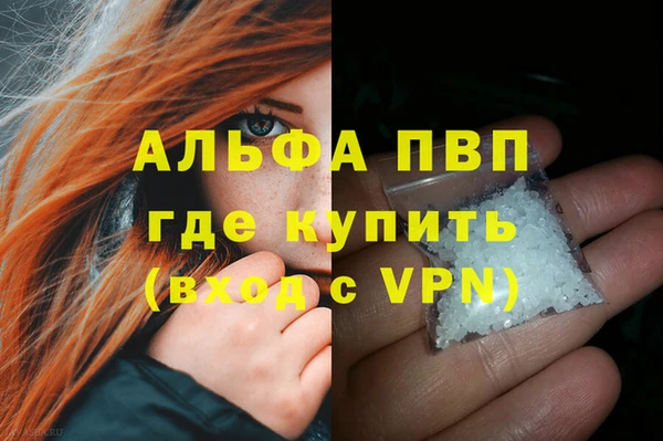 гашиш Богданович