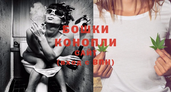 гашиш Богданович