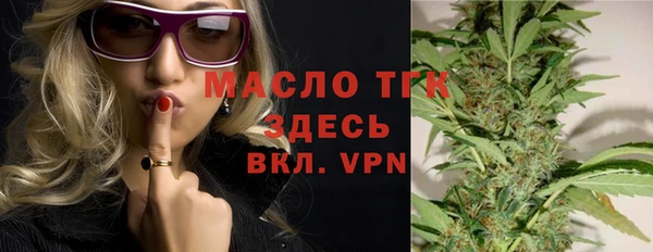 гашиш Богданович